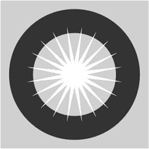 Inclusivity principle icon
