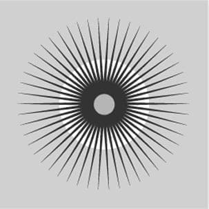 Inspiration principle icon