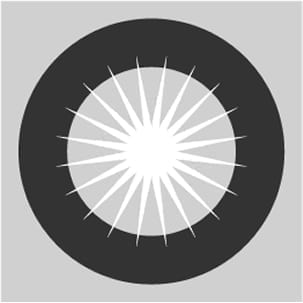 Inclusivity principle icon